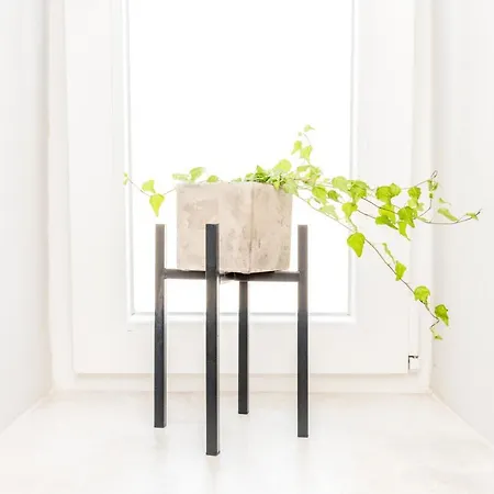 Rivoli Near The & Pier By Renters Appartement *