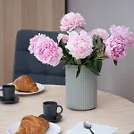 Rivoli Near The & Pier By Renters شقة *