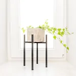 Rivoli Near The & Pier By Renters شقة *