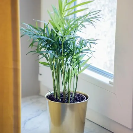 Rivoli Near The & Pier By Renters Апартаменты