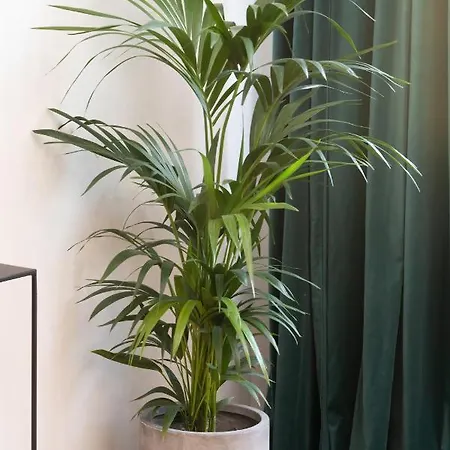 Rivoli Near The & Pier By Renters * Сопот